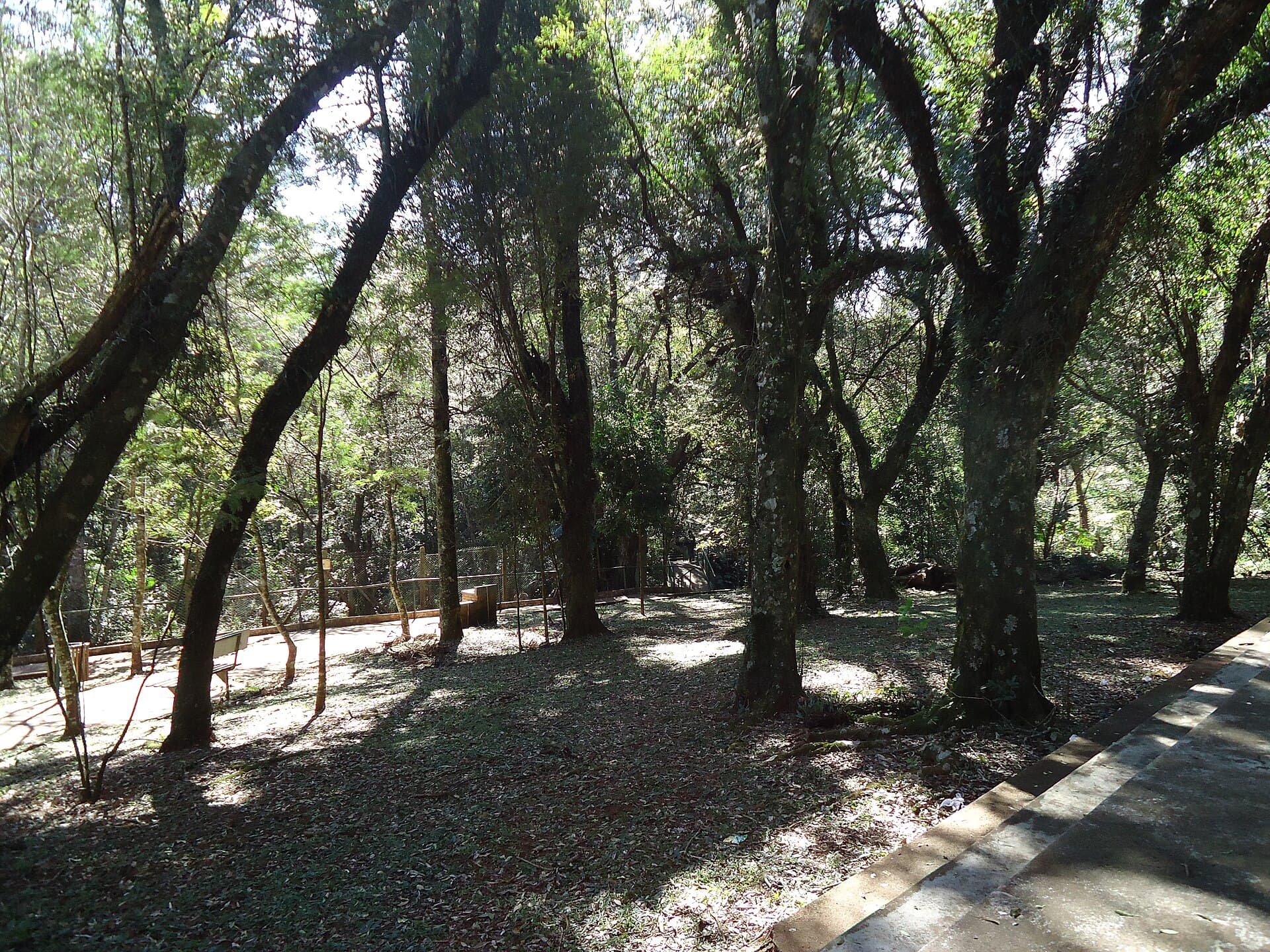 Cascavel Municipal Zoo (Danilo Galafassi Park), Cascavel