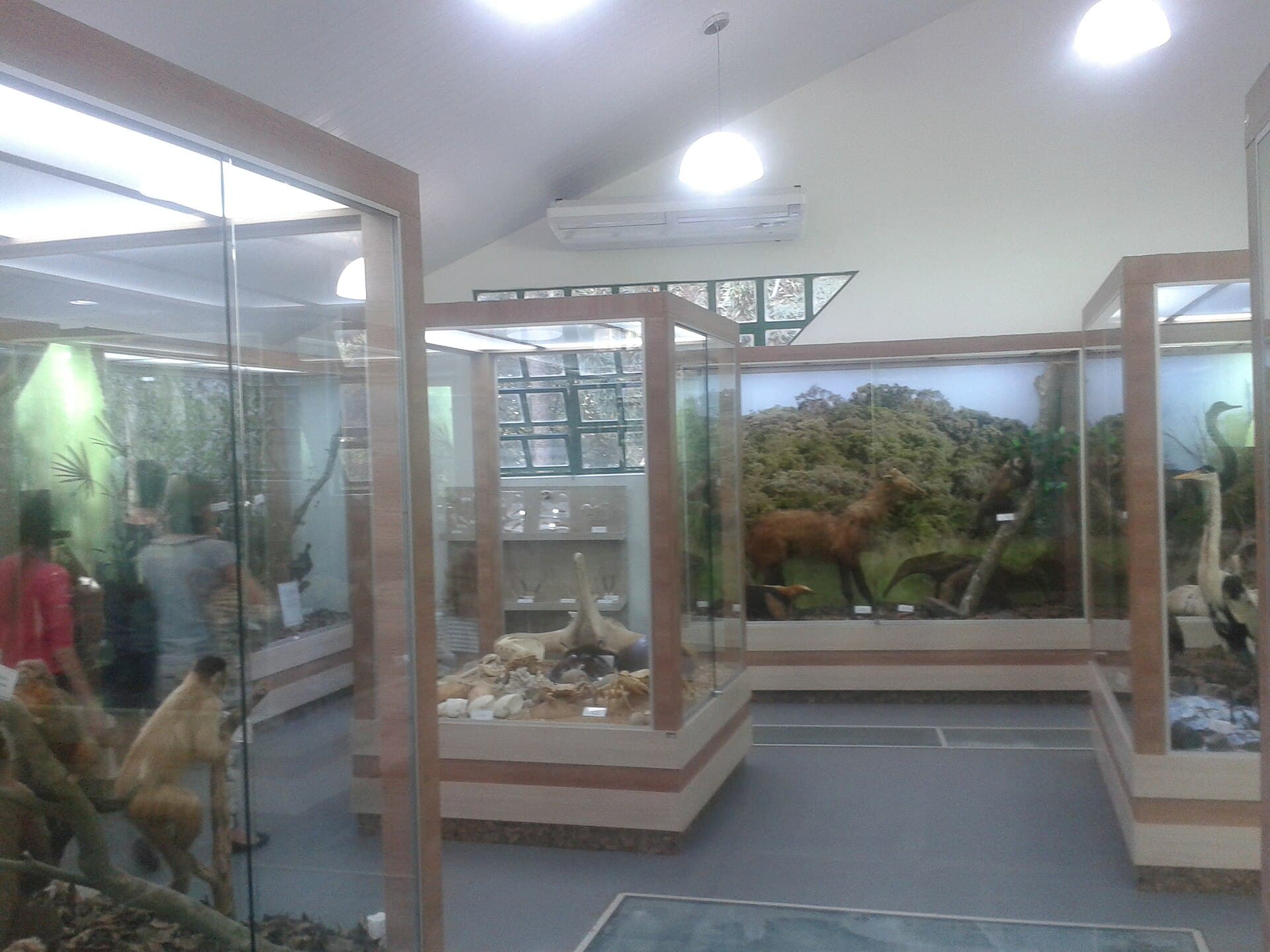 Cascavel Municipal Zoo (Danilo Galafassi Park), Cascavel