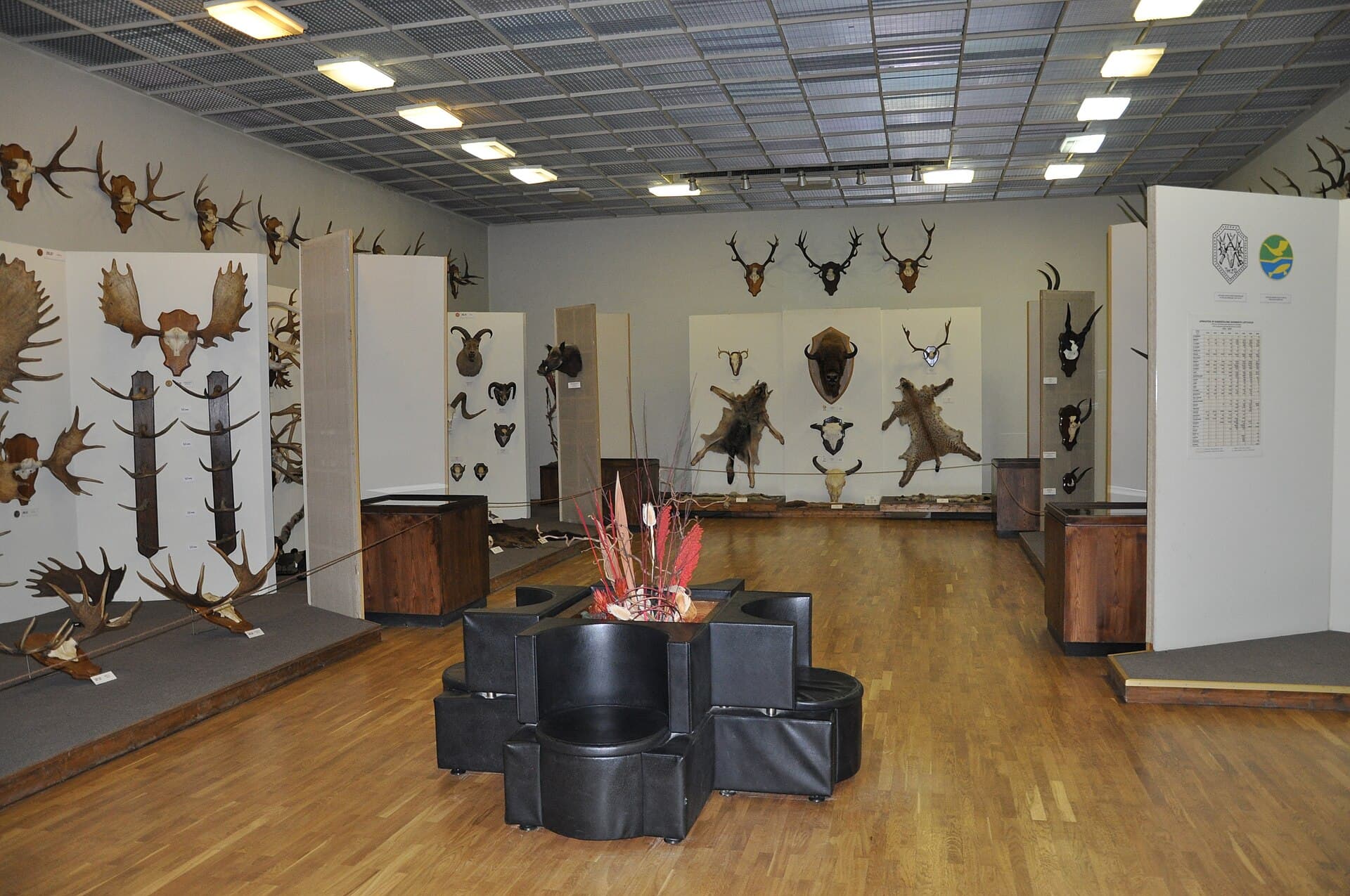 Tadas Ivanauskas Museum of Zoology, Kaunas
