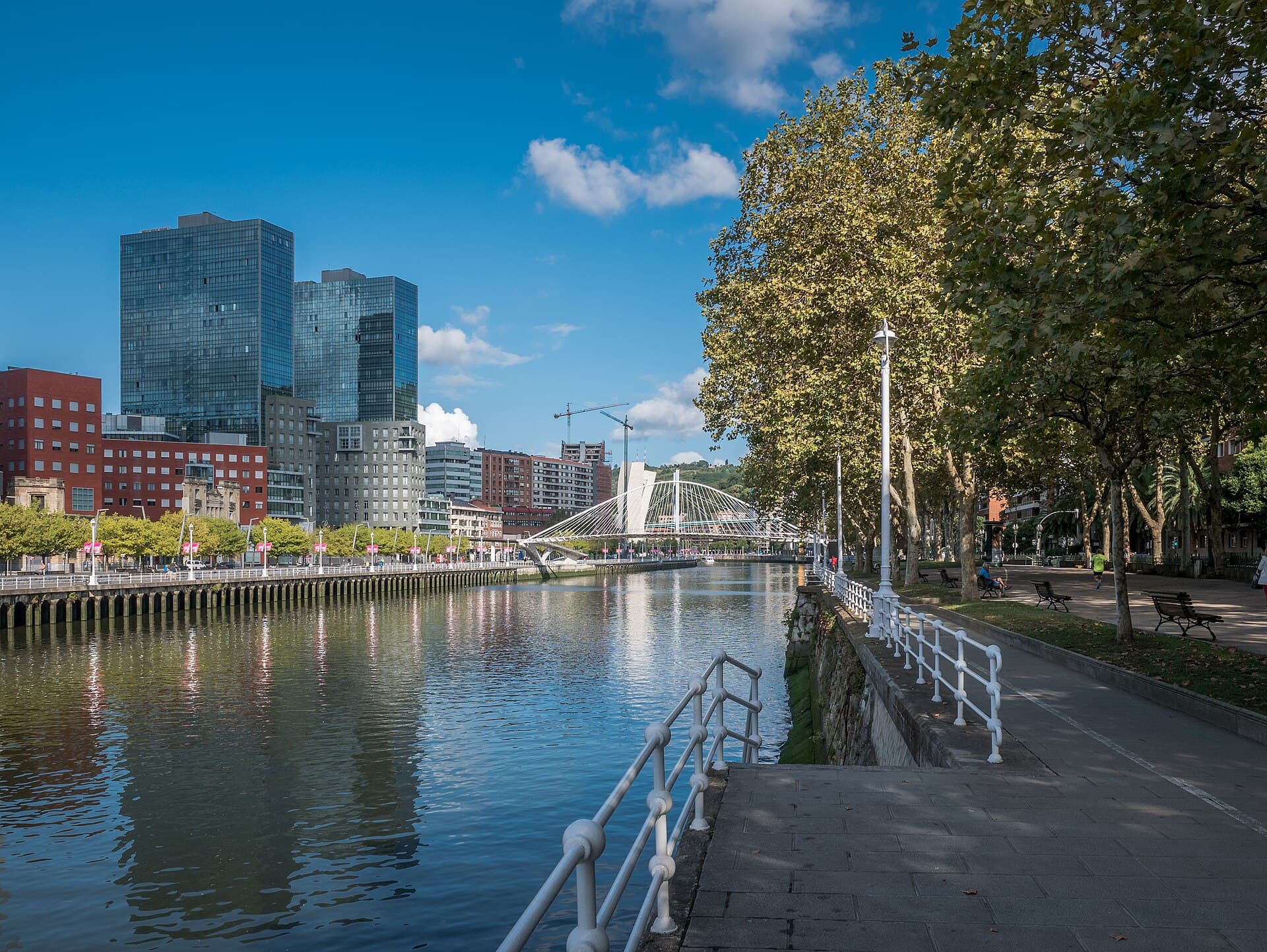 Zubizuri Bridge, Bilbao