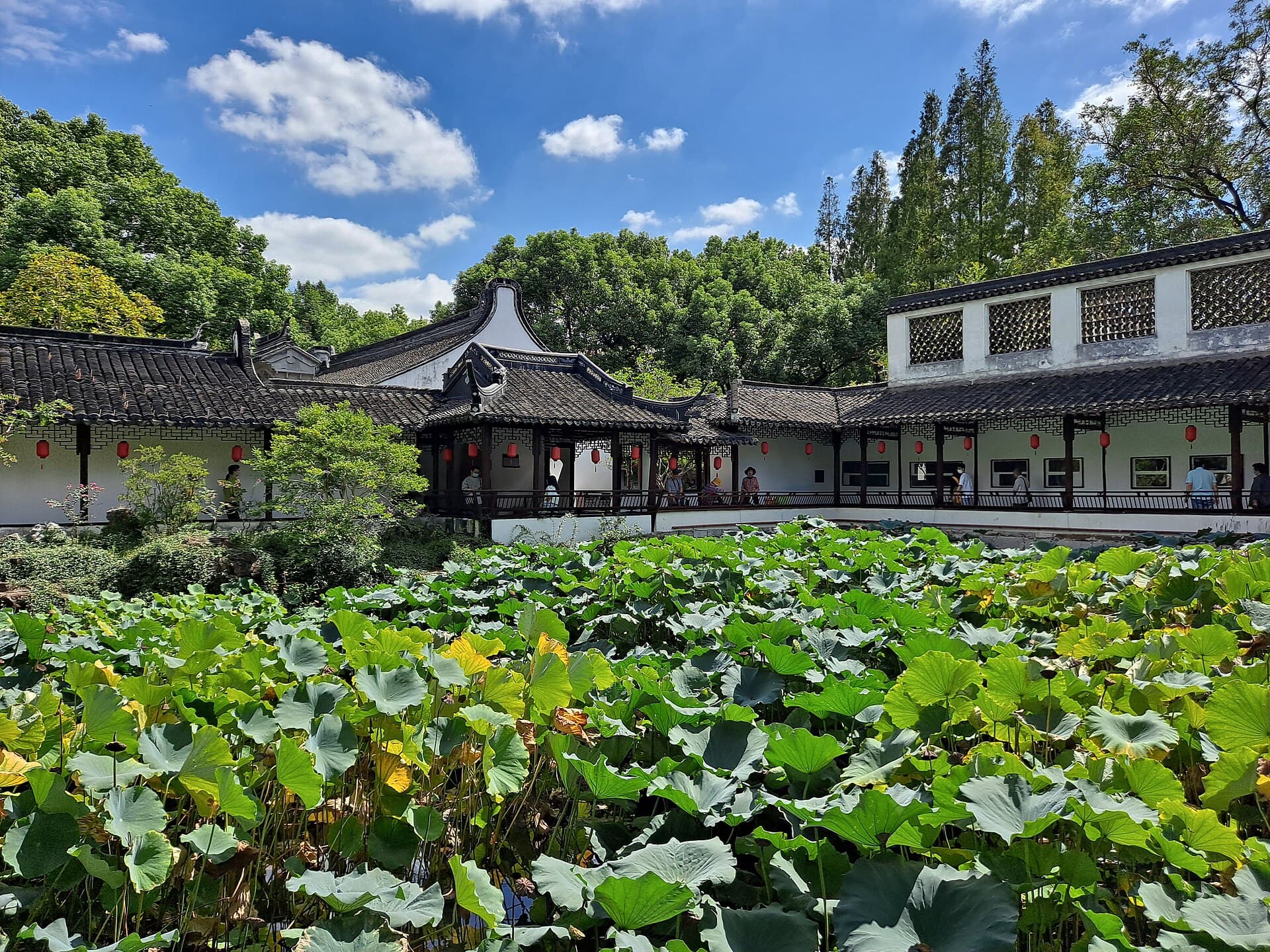 Zuibaichi Park