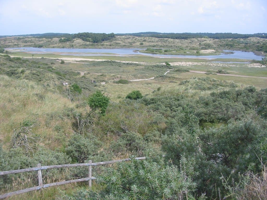 Zuid-Kennemerland National Park, Amsterdam