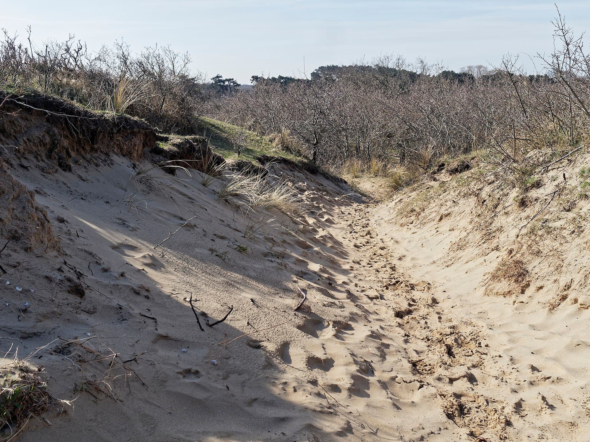 Zuid-Kennemerland National Park, Amsterdam