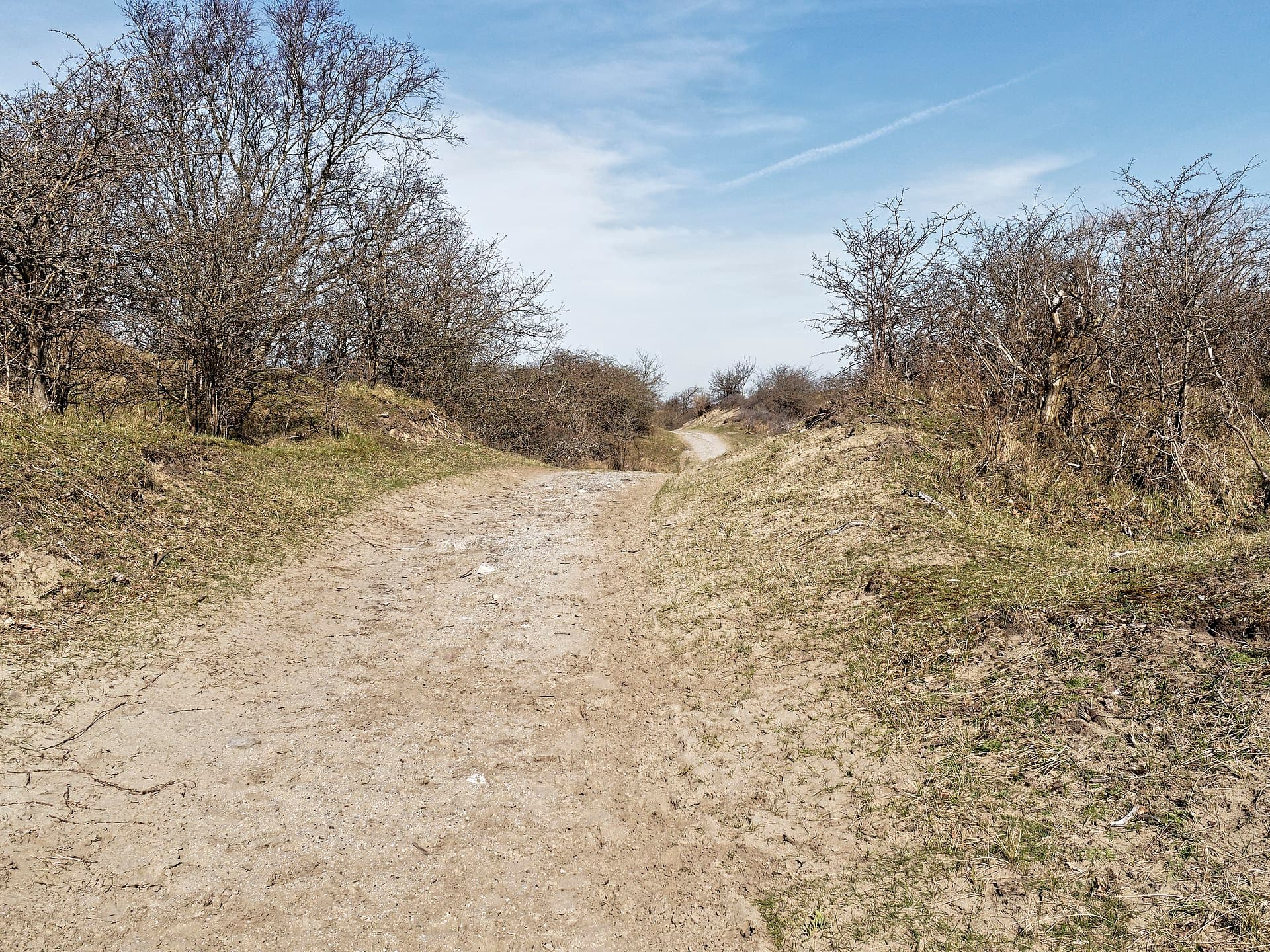 Zuid-Kennemerland National Park, Amsterdam