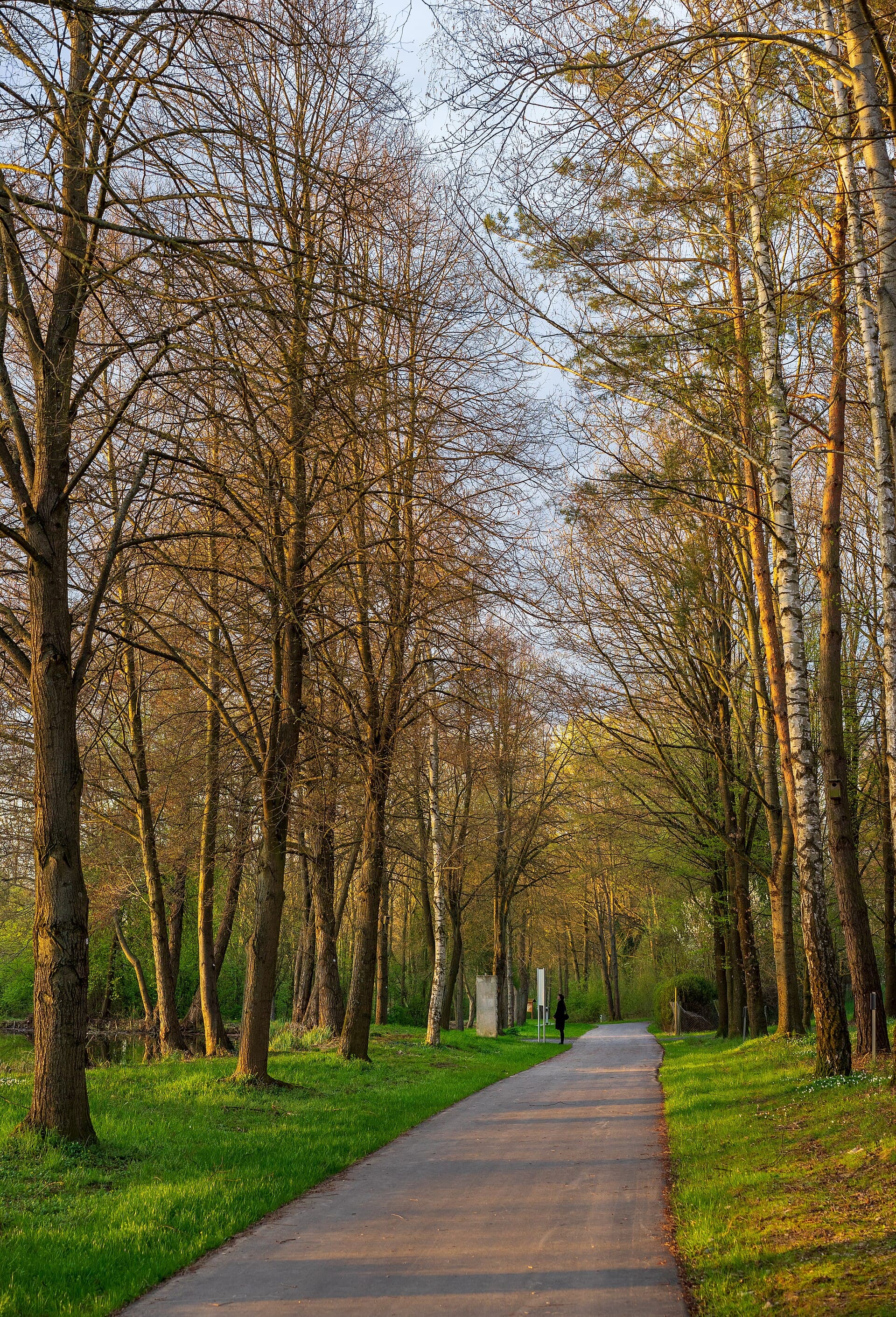 Baden-Baden Arboretum