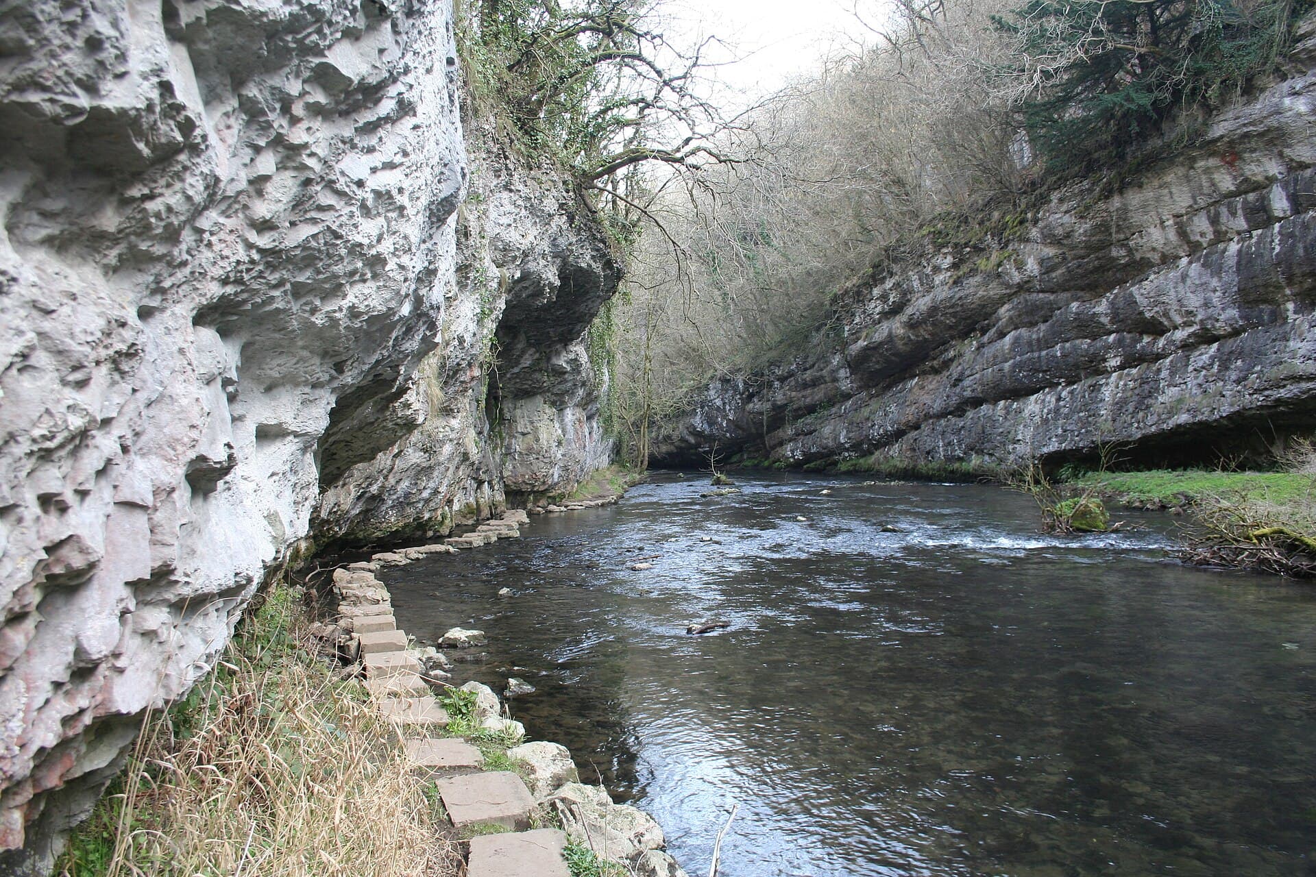Chee Dale