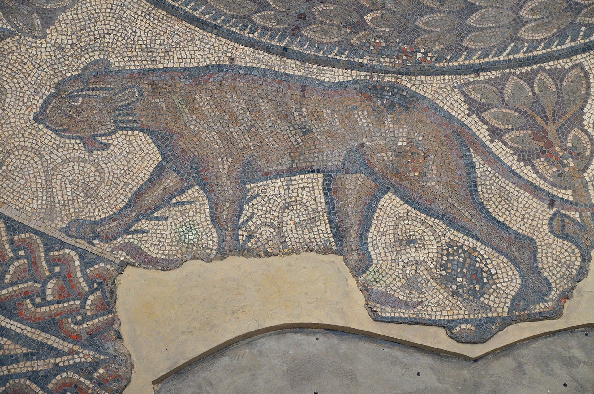 Corinium Museum