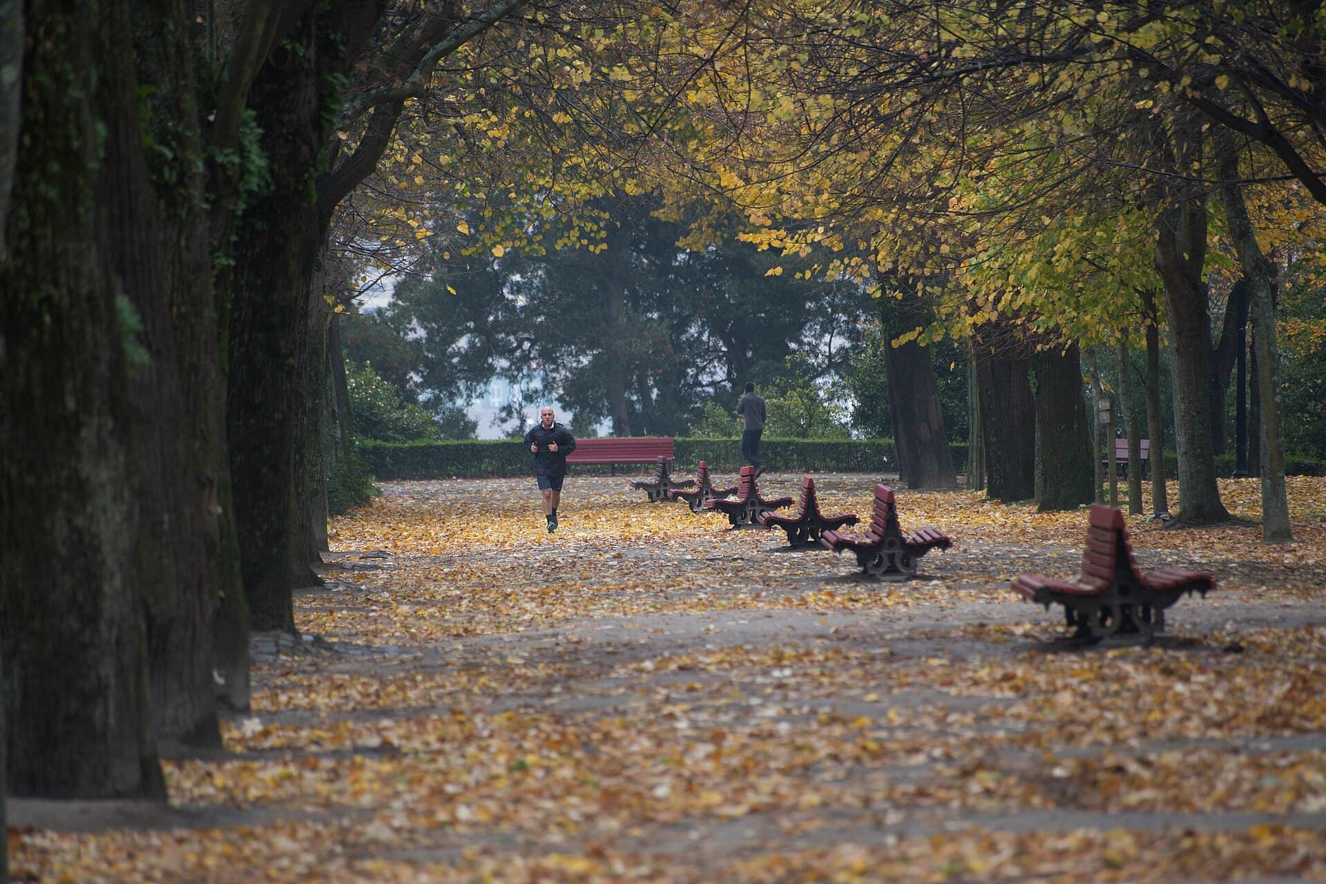 The Crystal Palace Gardens