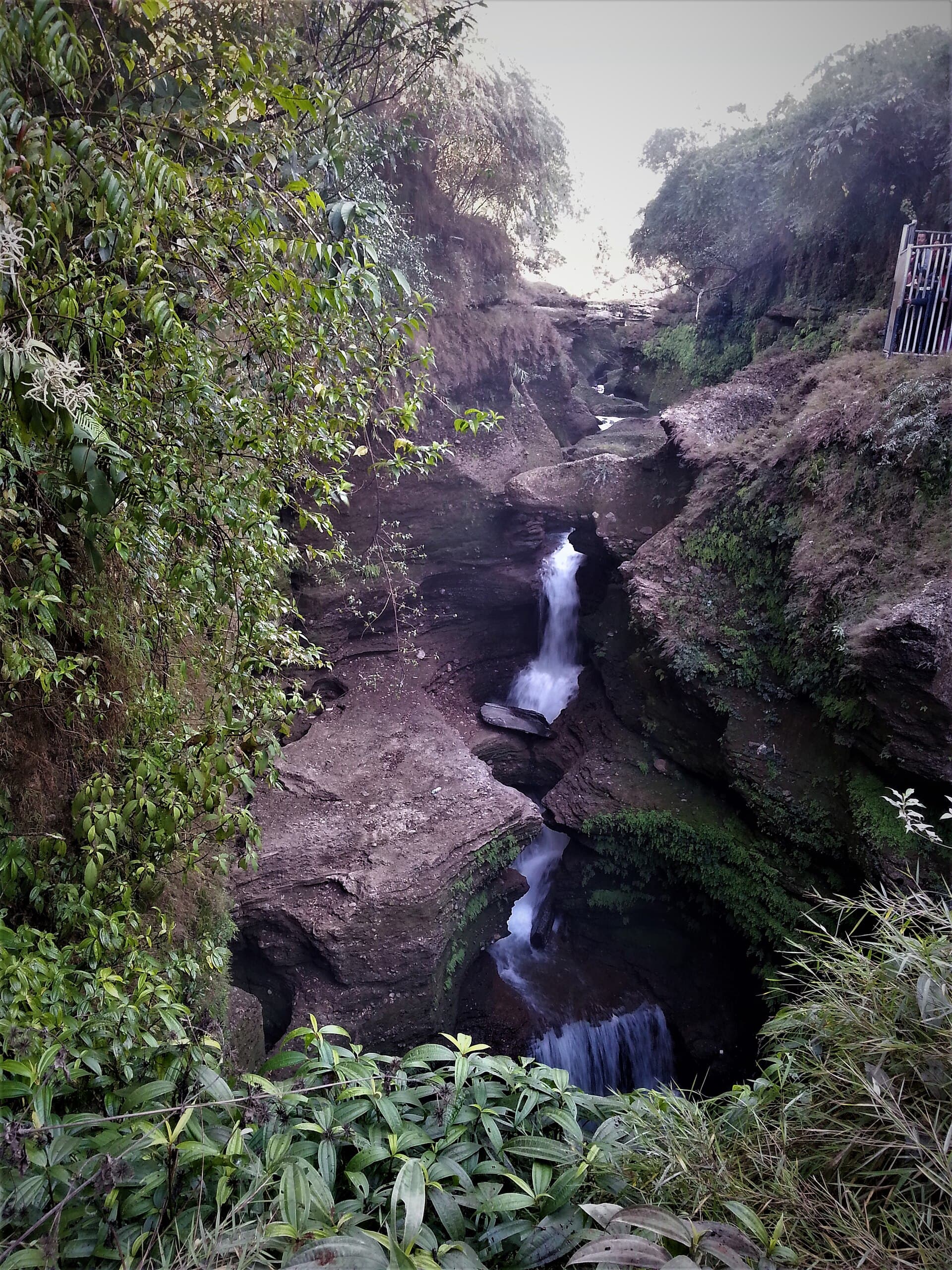 Davis Falls