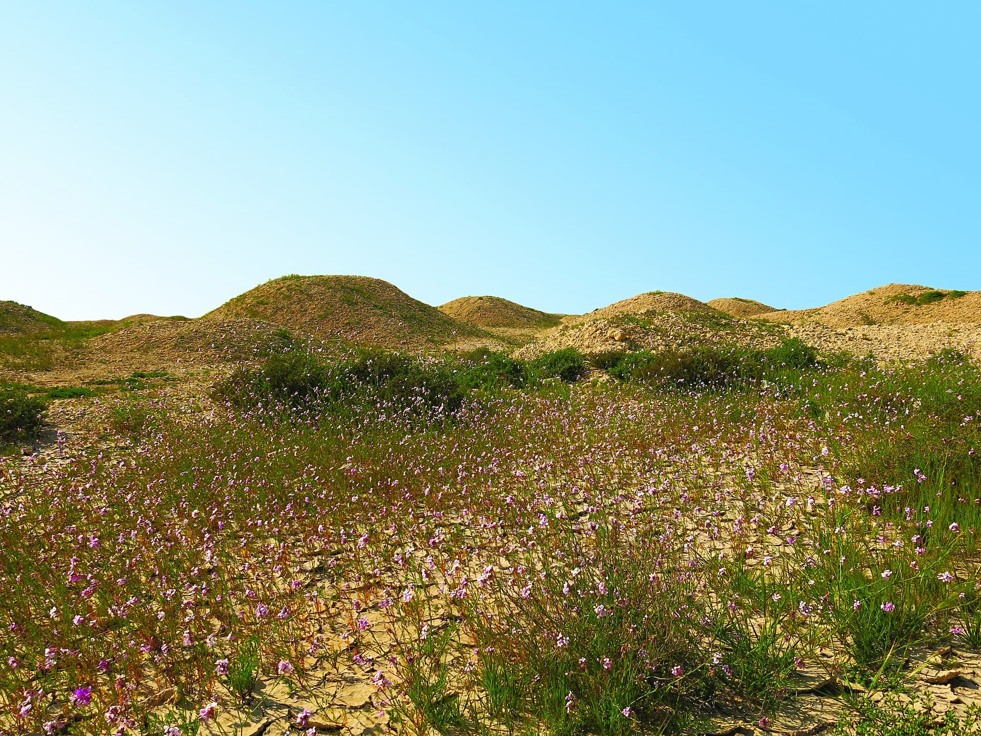 Dilmun Burial Mounds