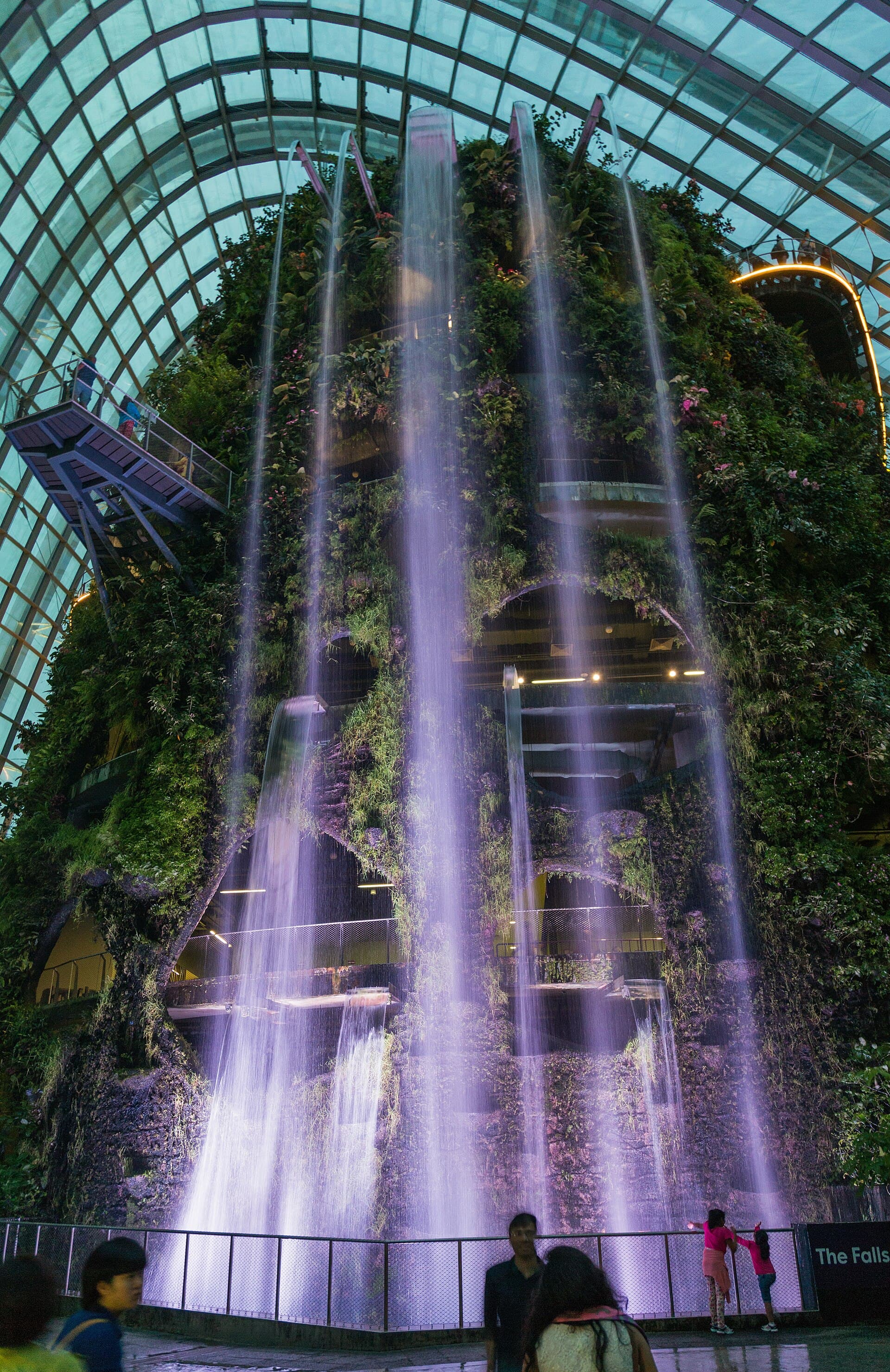 Flower Dome and Cloud Forest