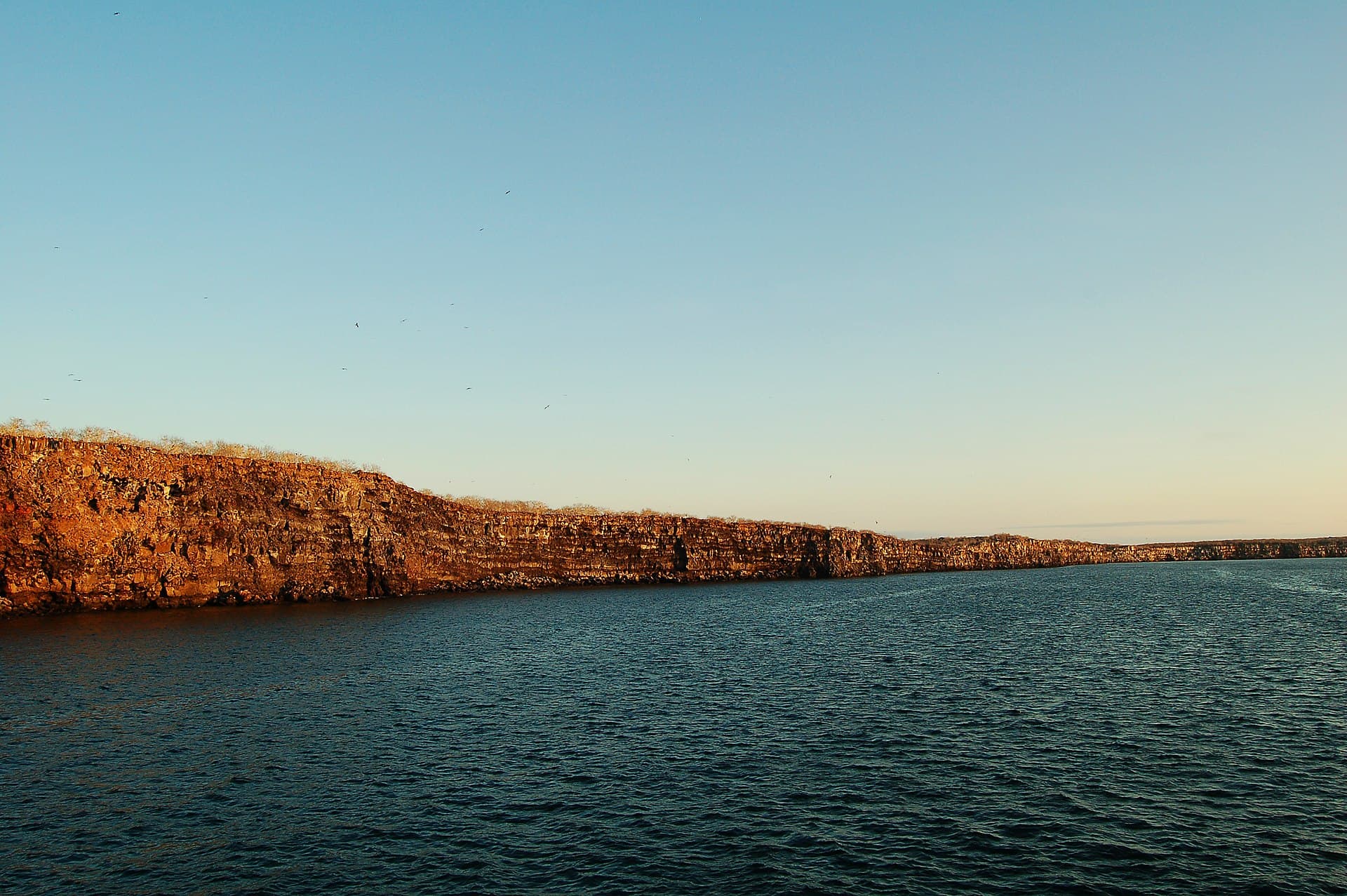 Genovesa Island (Bird Island)