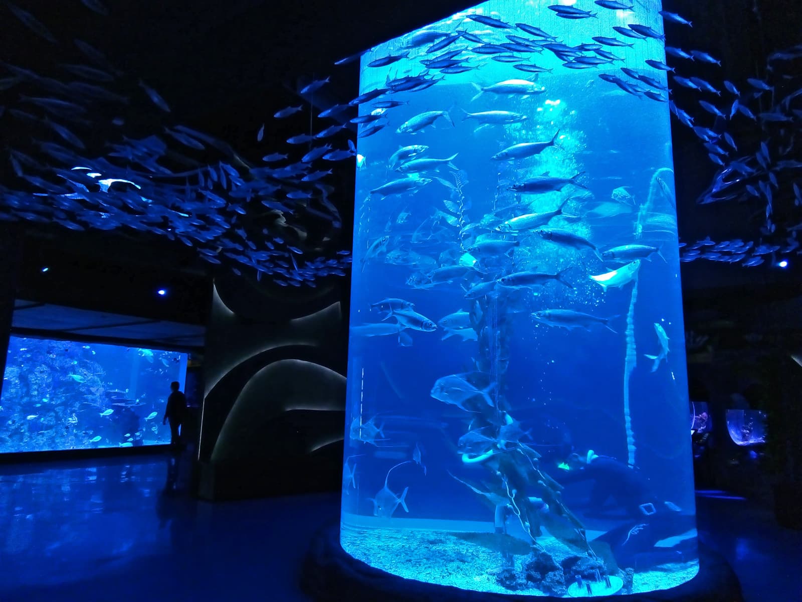 Jakarta Aquarium and Safari