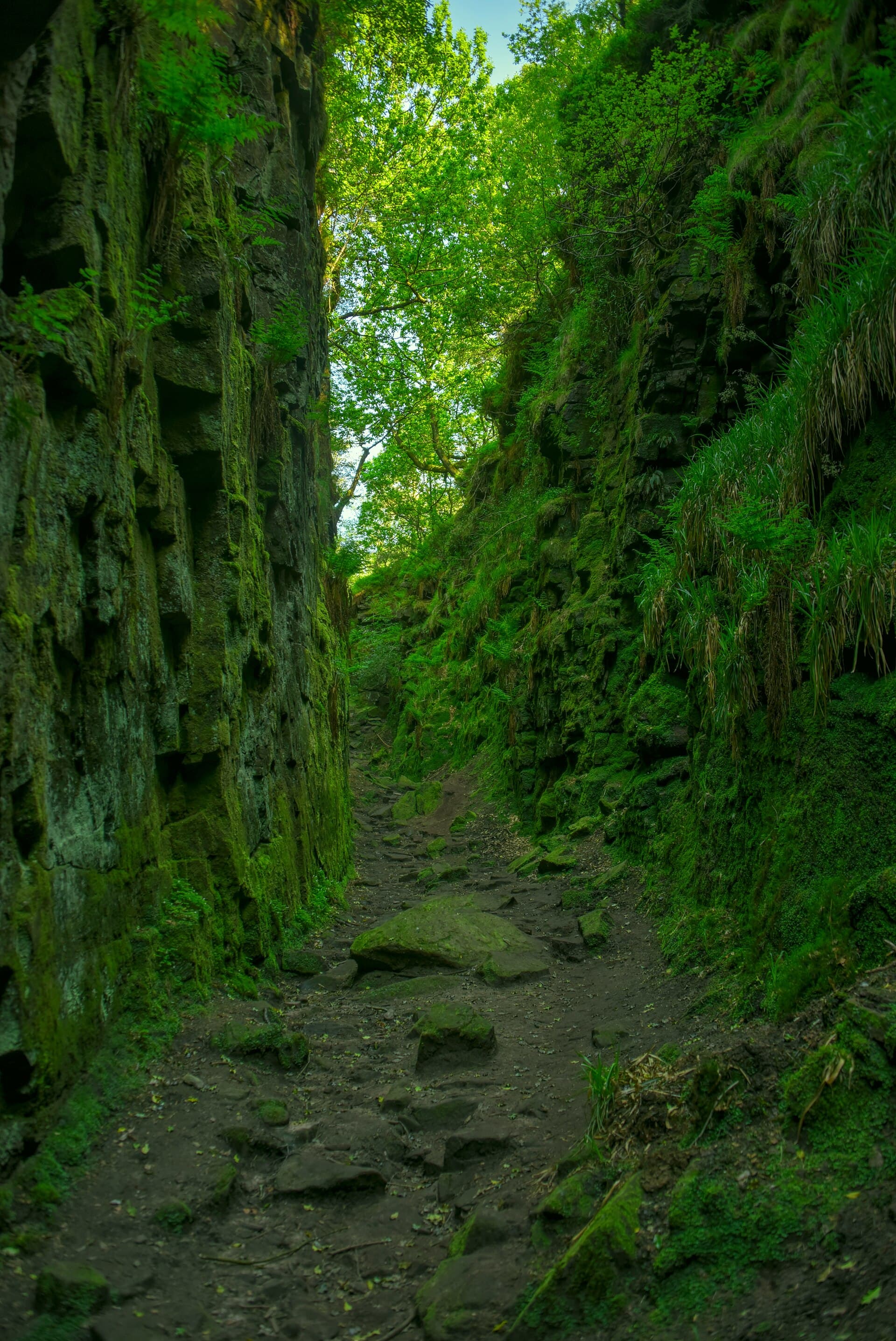 Lud's Church