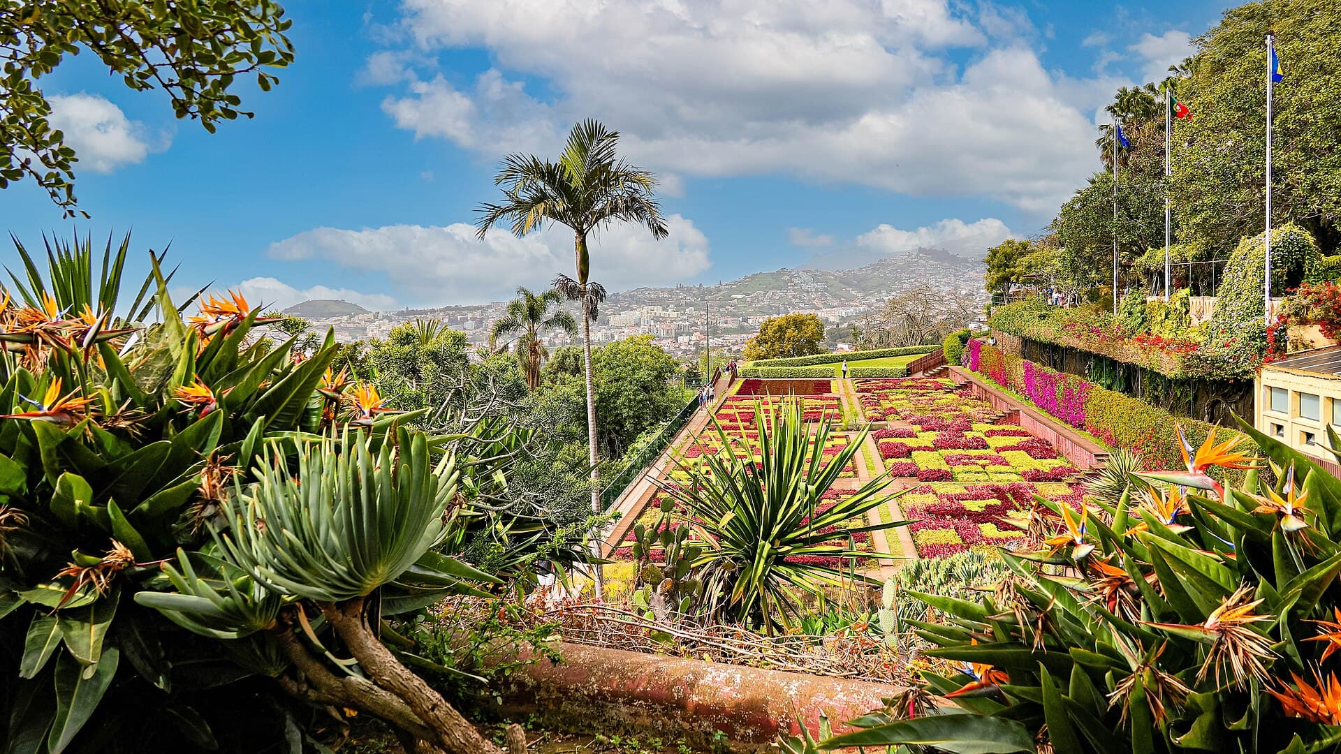 The Madeira Botanical Garden