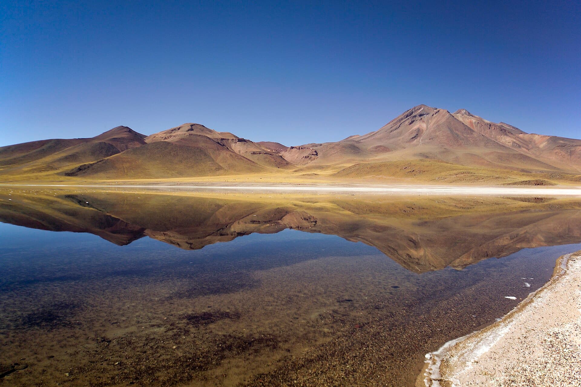 Miscanti and Miñiques Lagoons