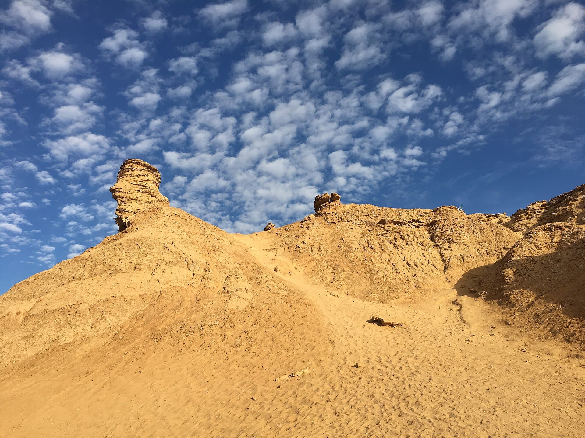 عنق الجمل وديكور حرب النجوم
