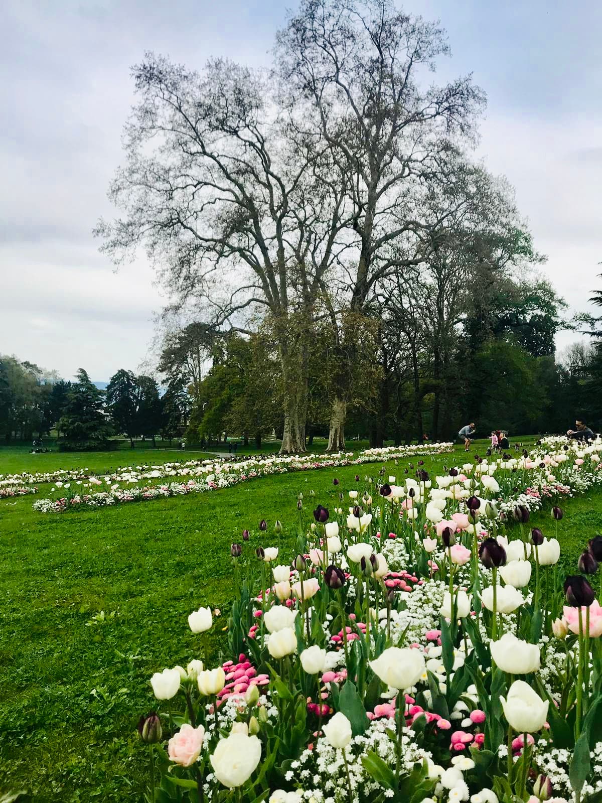 Parc La Grange