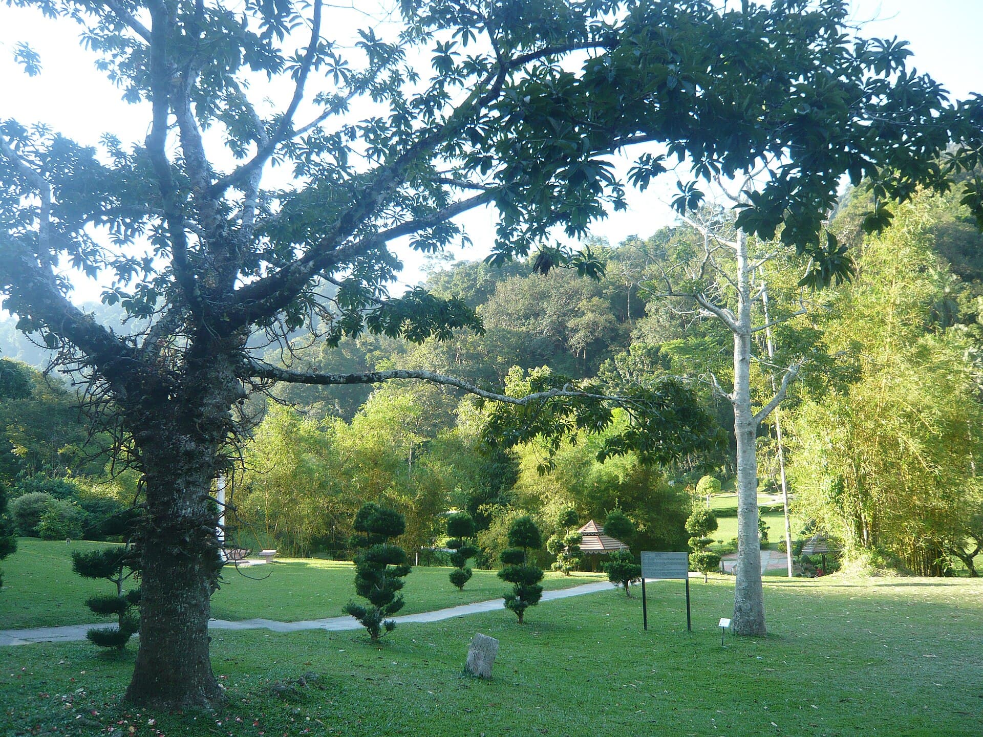 Penang Botanic Gardens (Waterfall Gardens)