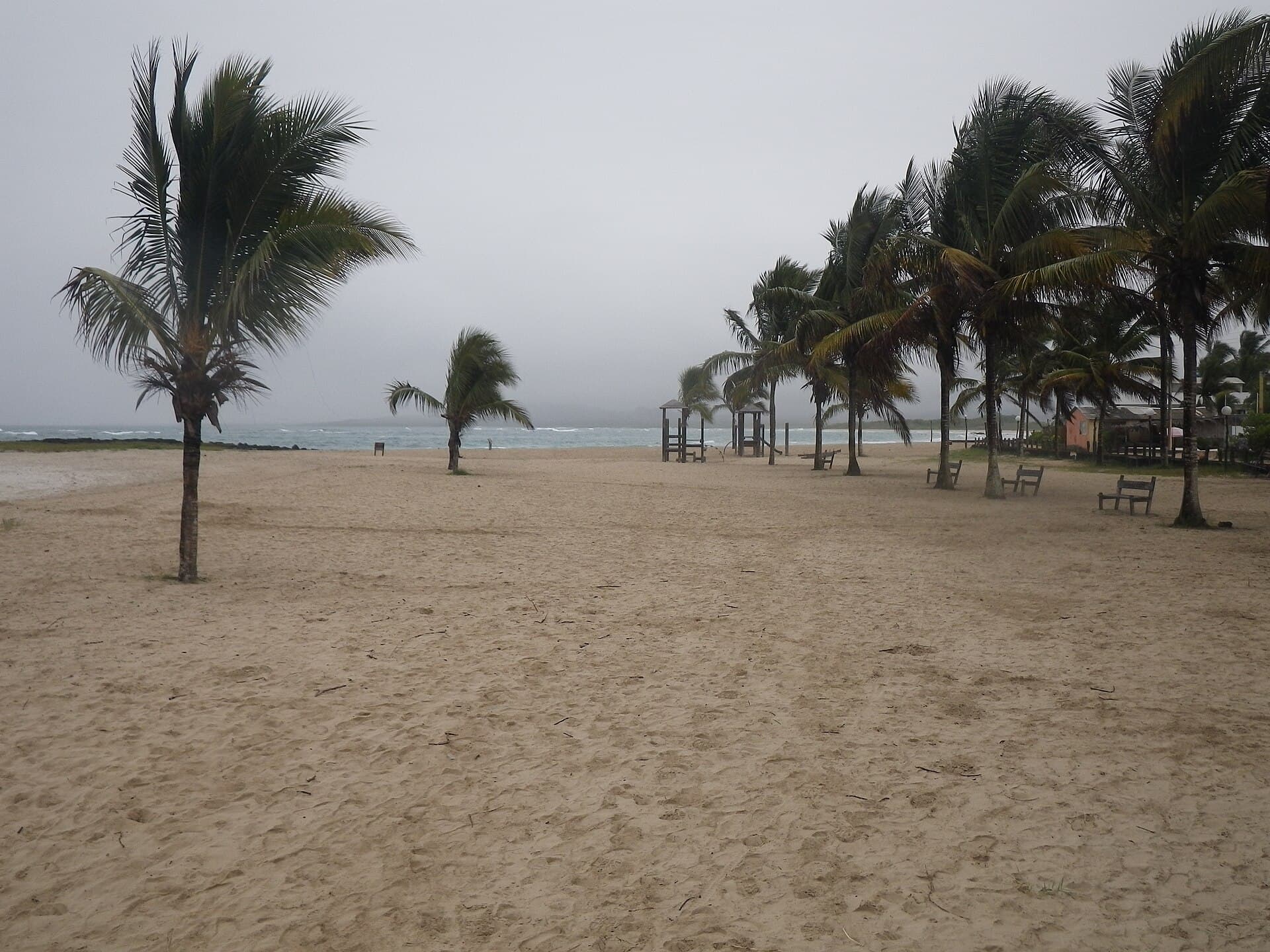 Puerto Villamil Beach and Isabela