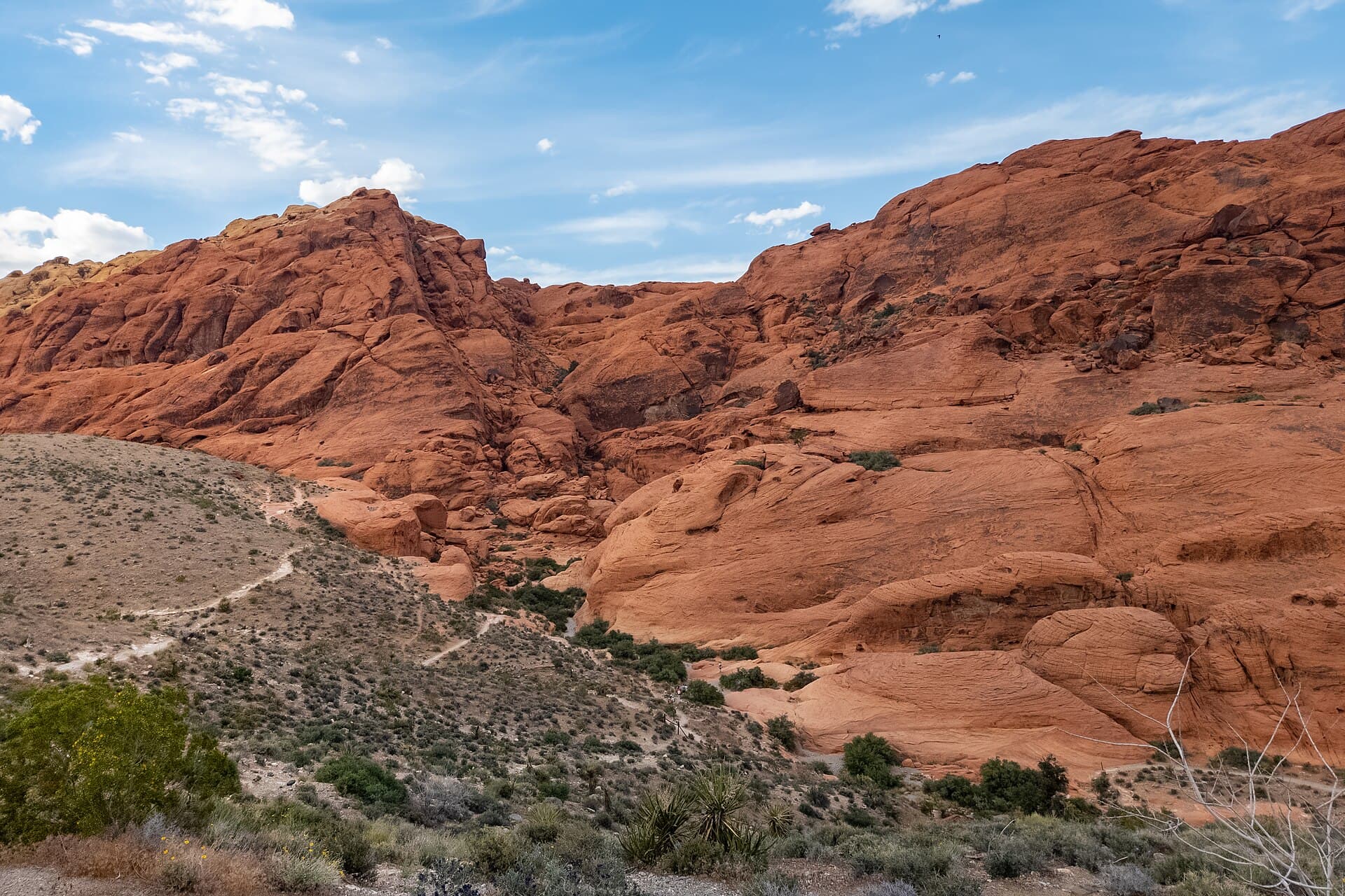 Red Rock Canyon National Conservation Area