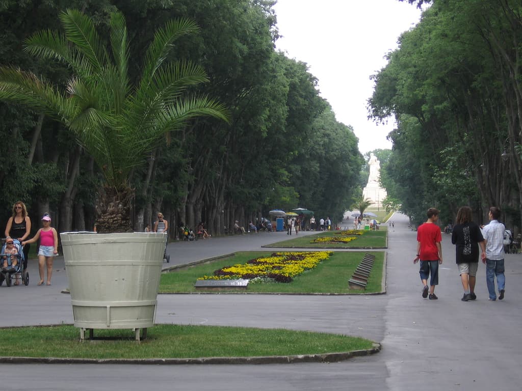 The Sea Garden