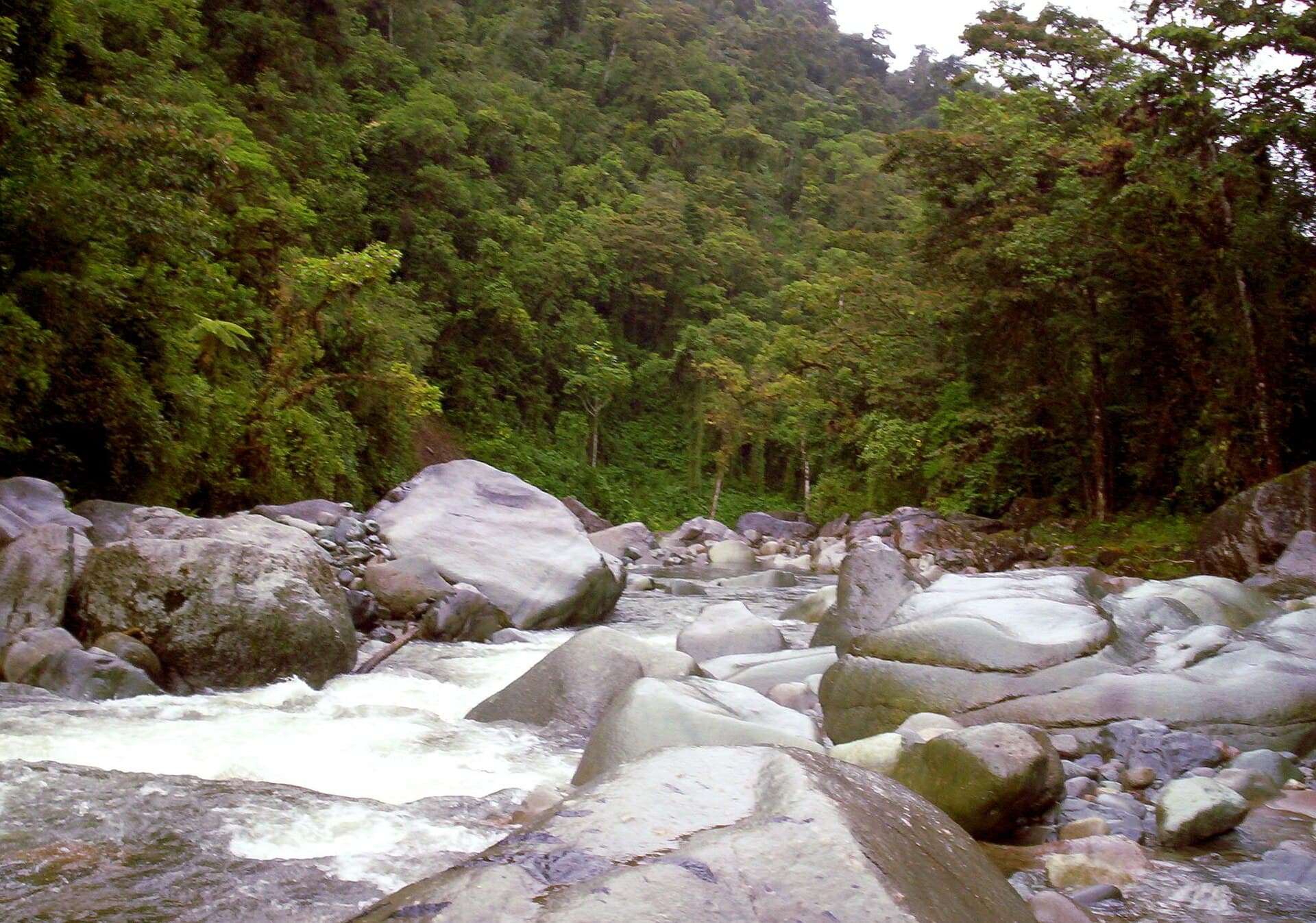 Tapantí National Park