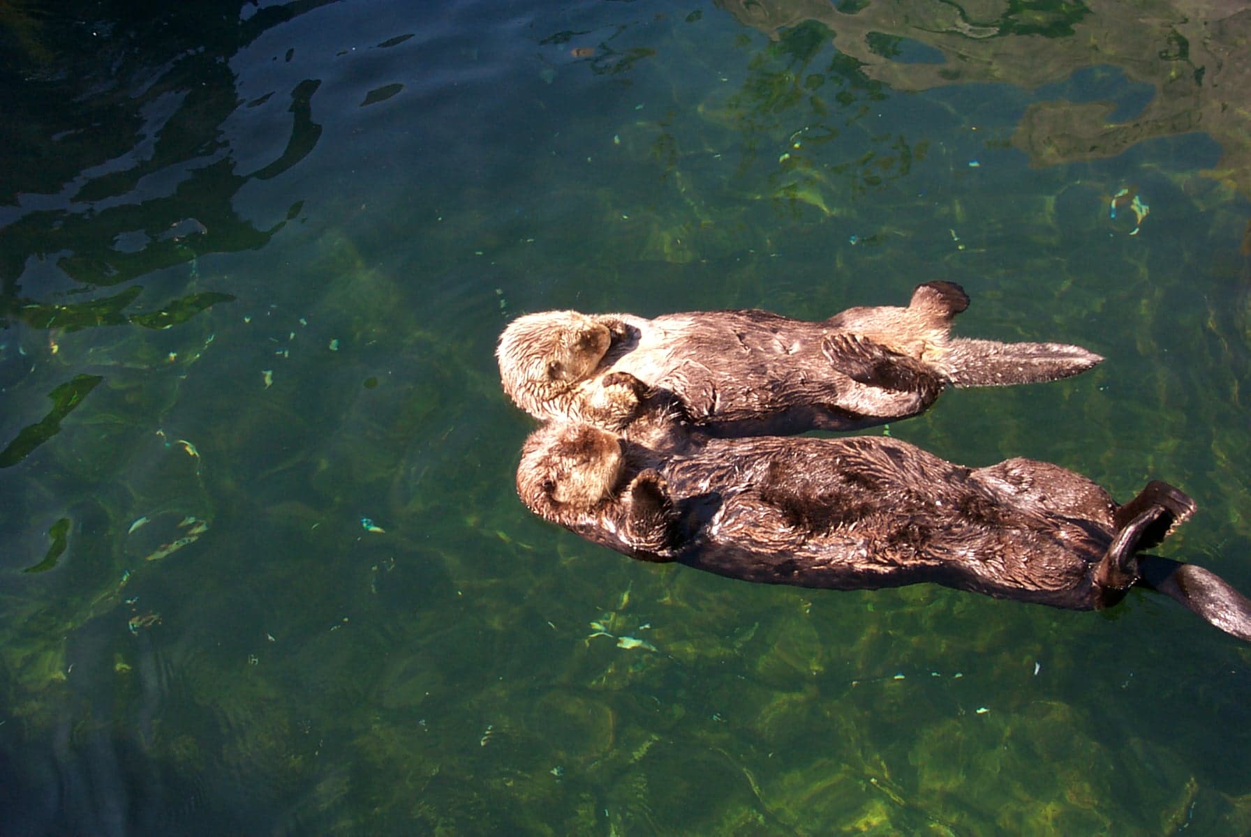 Vancouver Aquarium